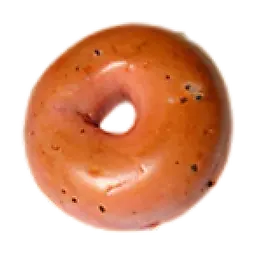 Cranberry bagel
